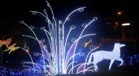 led hortum süsleme